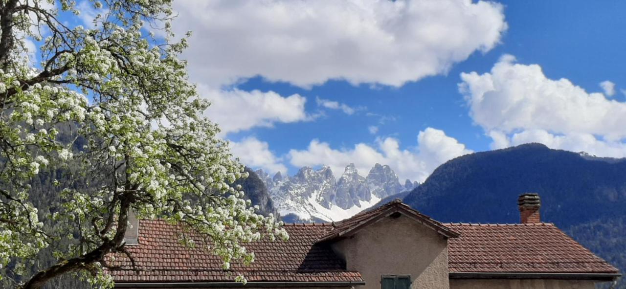 B&B Sognoincadore Domegge di Cadore Bagian luar foto