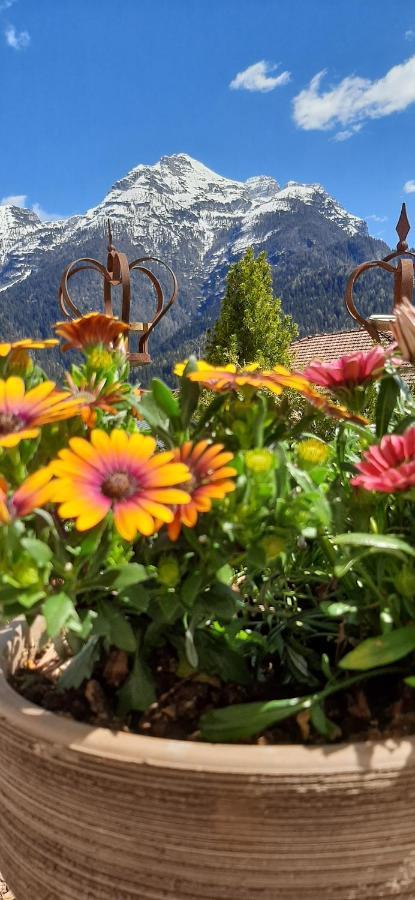 B&B Sognoincadore Domegge di Cadore Bagian luar foto