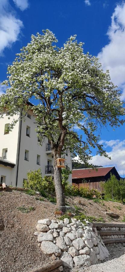 B&B Sognoincadore Domegge di Cadore Bagian luar foto