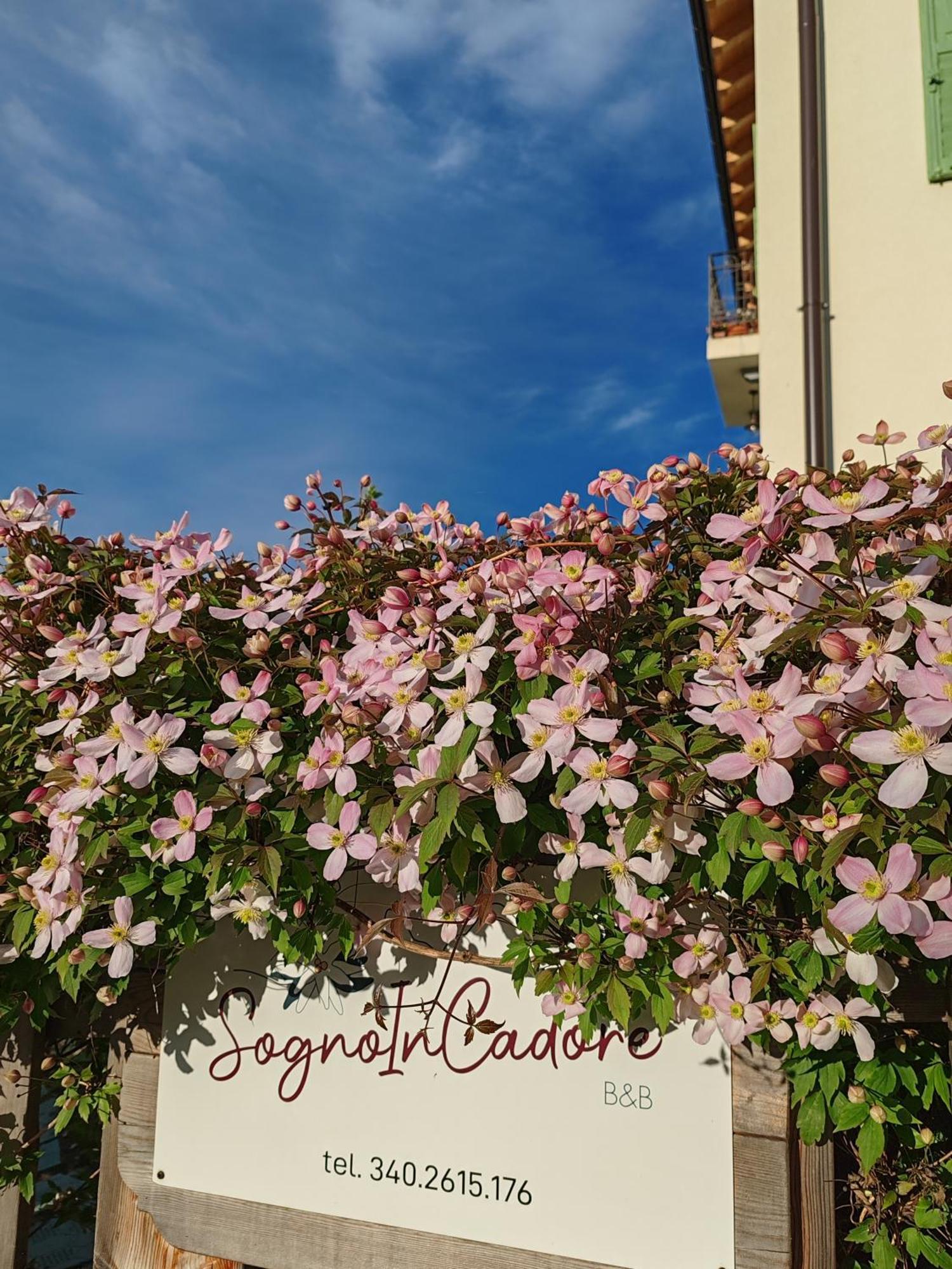 B&B Sognoincadore Domegge di Cadore Bagian luar foto